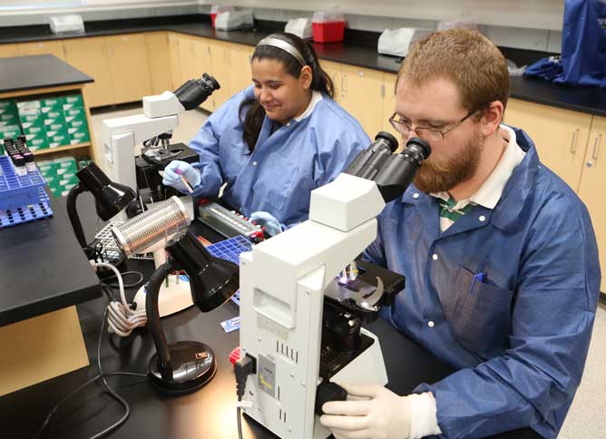 Two students wearing lab coats and looking through microscopes.