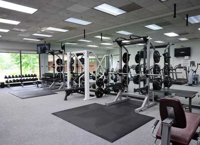 An image of gym equipment at Oakton's Fitness Center.